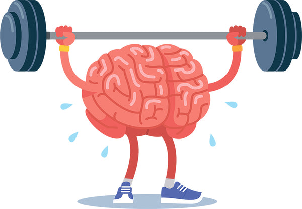Bodies in Motion - How Physical Activity Shapes the Brain