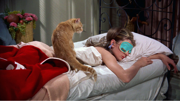 Certified Fitness Trainer Explains | Sleeping Beauty Or Grumpy The Dwarf?