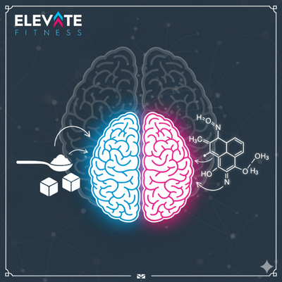Certified Fitness Trainer Explains | Is Sugar Really as Addictive as Cocaine? A Look at the Science Behind the Claim