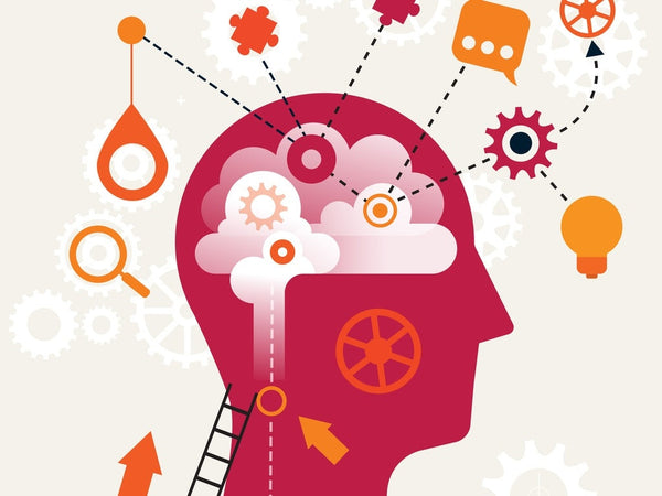 Is Life All About Mindset?